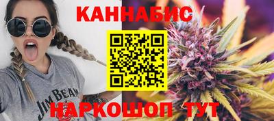 индика Дубна