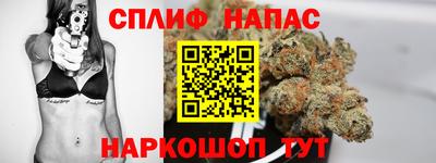 индика Дубна