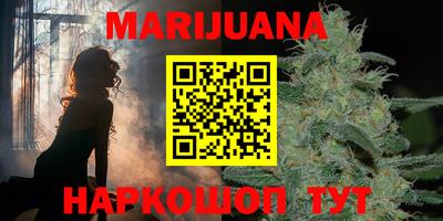 индика Дубна