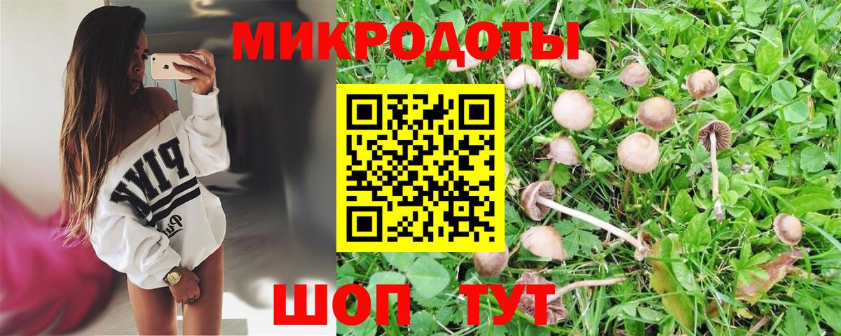 Кулебаки  Псилоцибиновые грибы ЛСД  Псилоцибиновые грибы прущие грибы  Вход с VPN 